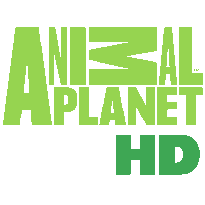 Animal planet HD Animal planet HD